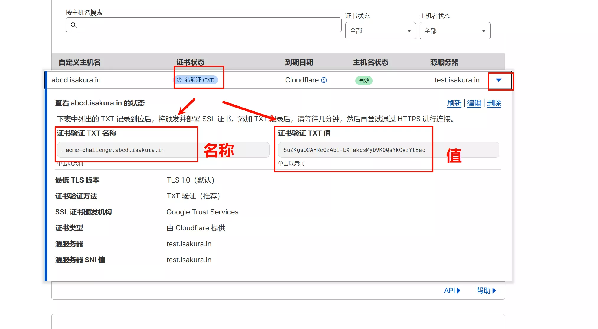 TXT 验证